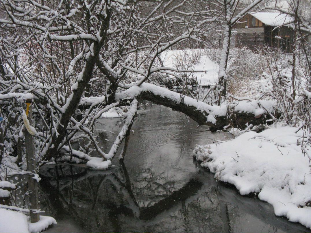 Мария Бильчук фотография #15