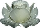 Яна Котова фотография #46 (источник - https://vk.com/id169529021)