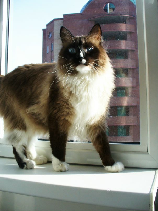 Дарья Щур фотография #26