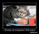 Олексій Фарина фотография #40 (источник - https://vk.com/id57227092)