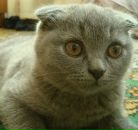 Зёбер Хе фотография #4 (источник - https://vk.com/id3613715)