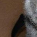 Інна Тодорчук фотография #43 (источник - https://vk.com/id155408833)