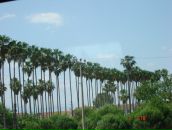 Галя Зелінська фотография #18 (источник - https://vk.com/id115987257)