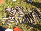 Фотография Куликова Алексея