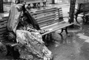 Homeless Natural фотография #13 (источник - https://vk.com/id156432223)