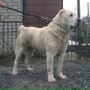 Діма Нікітін фотография #39 (источник - https://vk.com/id38752740)