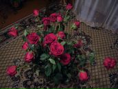 Фотография Поплутин Игорь