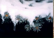 Фотография Малашенко Людмилы