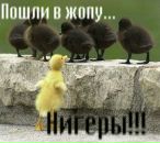 Віра Зененкова фотография #25 (источник - https://vk.com/id108676396)