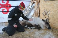 Фотография Суслова Дениса