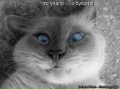 Фотография Зверевой Александры