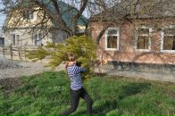 Фотография  