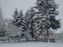Руслана Матвіюк фотография #29 (источник - https://vk.com/id136692471)