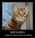 Nnn !!!!!! фотография #1