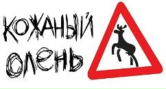 Фотография Николаева Андрея