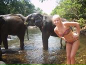 Anna Telnova фотография #36 (источник - https://vk.com/id422294)