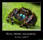 Фотография Садчикова Дмитрия