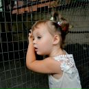 Vika Vika фотография #20 (источник - https://vk.com/id3645901)