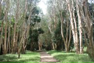 Дмитрий Венгерцев фотография #14 (источник - https://vk.com/id181221)