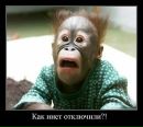 Іван Іванов фотография #42 (источник - https://vk.com/id12286885)