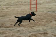 Вова Юрочкін фотография #33 (источник - https://vk.com/id15084244)