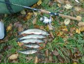 Віктор Черненко фотография #19 (источник - https://vk.com/id158392274)