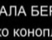 Саня Біленький фотография #39 (источник - https://vk.com/id131817824)