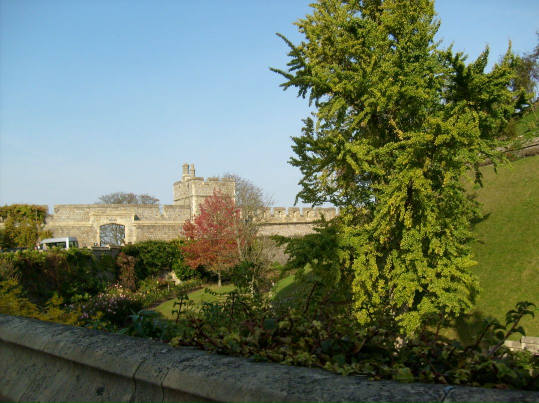 Михаил Плотников фотография #3