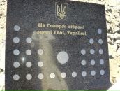 Вікторія Савчук фотография #38 (источник - https://vk.com/id134814230)