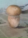 Любов Дяків фотография #17 (источник - https://vk.com/id133627997)