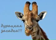 Фотография Сухарева Анна