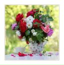 Юлія Виклинець фотография #3 (источник - https://vk.com/id120598374)