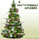 Фотография Козловой Карины