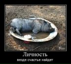 Андрій Дущак фотография #38 (источник - https://vk.com/id95316846)