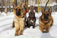 Фотография Мсккино Юлии