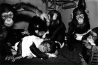 Фотография Лактанова Жеки