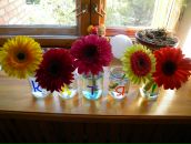 Фотография Гуськовой Екатерины