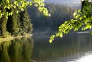 Дімон Жилінський фотография #36 (источник - https://vk.com/id73981707)