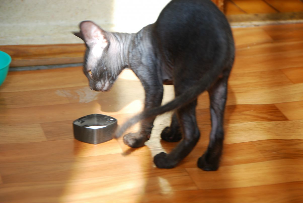 Даниил Стариченко фотография #40