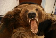 Фотография Черепановой Инны