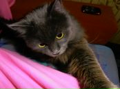 Фотография Калугиной Светланы