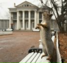 De Bond фотография #44 (источник - https://vk.com/id1327072)