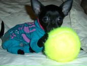 Фотография Михеевой Ирины