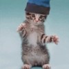 Свєтка Михайлова фотография #42 (источник - https://vk.com/id65818113)