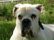 Фотография Марковина Романа