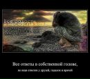 Іванна Худьо фотография #33 (источник - https://vk.com/id37289317)