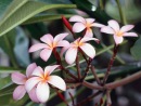 Фотография Анатольевны Анны