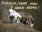 Анічка Пукаляк фотография #17 (источник - https://vk.com/id41161314)