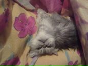 Діма Білет фотография #47 (источник - https://vk.com/id42002144)