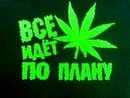 Вова Лягін фотография #6 (источник - https://vk.com/id139439605)